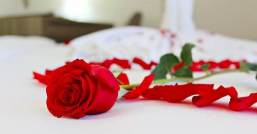 Valentine’s Day 2025 in Sovata Hotel Crystal**** 