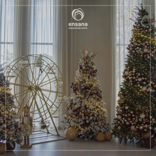 Revelion 2027 Constantin si Elena Hotel Ensana Aquahouse Revelion 2027 Constantin si Elena Hotel Ensana Aquahouse