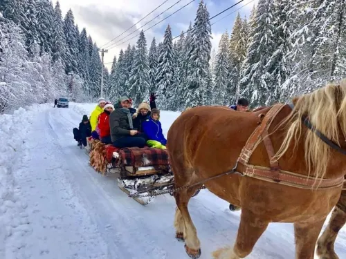 Revelion 2027 in Maramures Petrova Pensiunea Dacii Liberi Revelion 2027 in Maramures Petrova Pensiunea Dacii Liberi